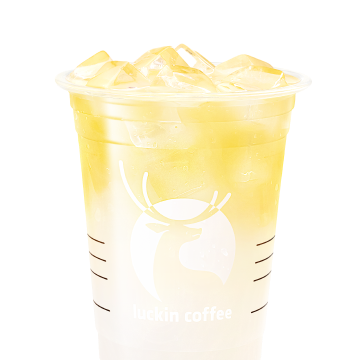 荔枝乳酸菌冰茶